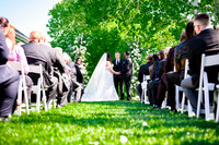 The Wedding