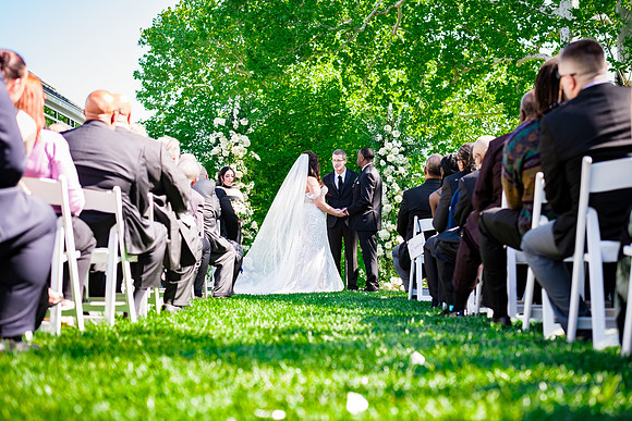 The Wedding