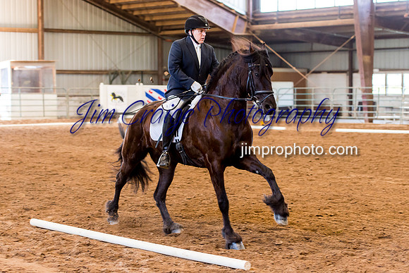 2013MAFA--1487