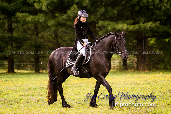 Rider on a Friesian
