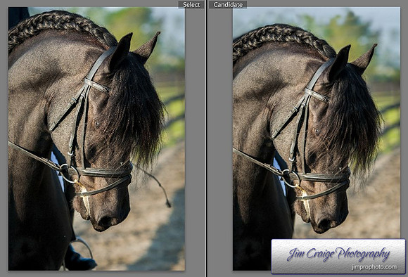 Edit for framing